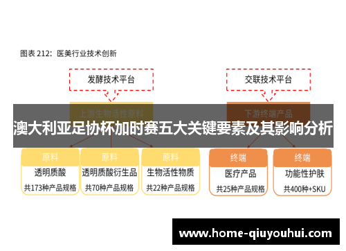 澳大利亚足协杯加时赛五大关键要素及其影响分析